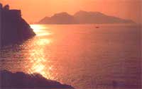 catamaran charters