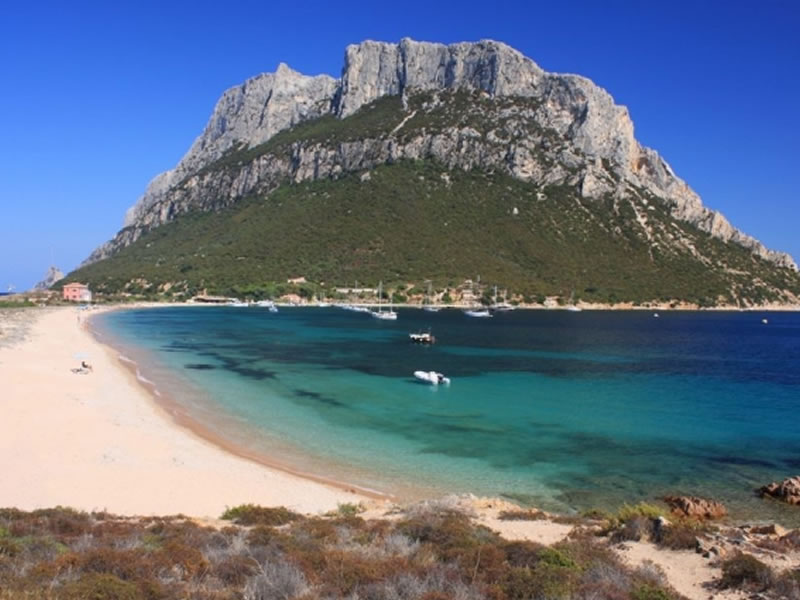 Tavolara island